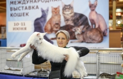 LSM_1538_новый размер