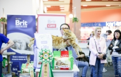 LSM_1714_новый размер