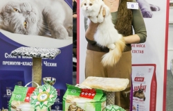 LSM_1732_новый размер
