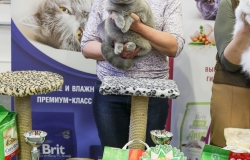 LSM_1735_новый размер