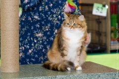 IMG_7632_новый размер