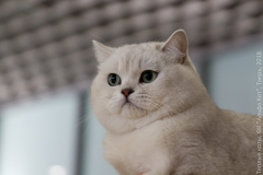 IMG_7870_новый размер