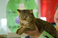 IMG_7896_новый размер