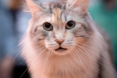 0056